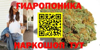 спиды Лесосибирск