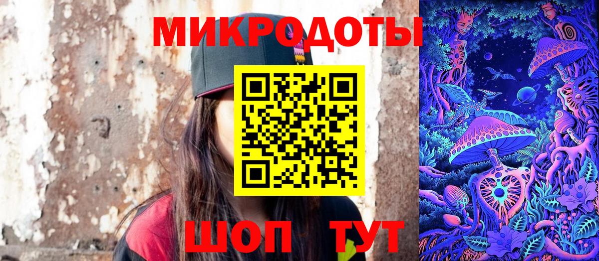 Псилоцибиновые грибы Psilocybine cubensis Зеленодольск